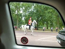 Horse Guard on Pall Mall