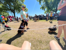 Musical sit