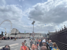 Packed brige
