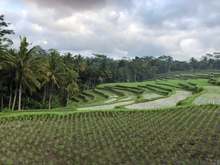More Terraces
