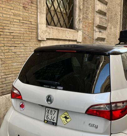 Apparently kangaroos are a big problem in central Rome!