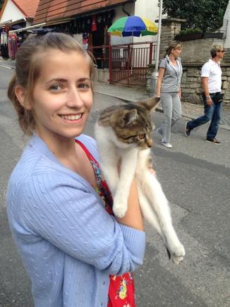 A stray cat in Prague