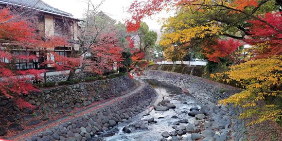 river that bisects village