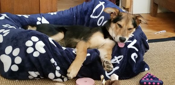 Resting on his bed
