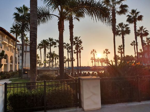 Sunset vibes