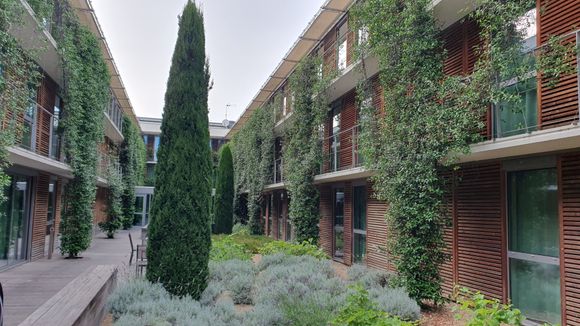 The courtyard where the pool is located