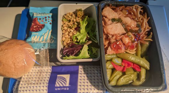 Sfo-lhr teriyaki chicken 6/10