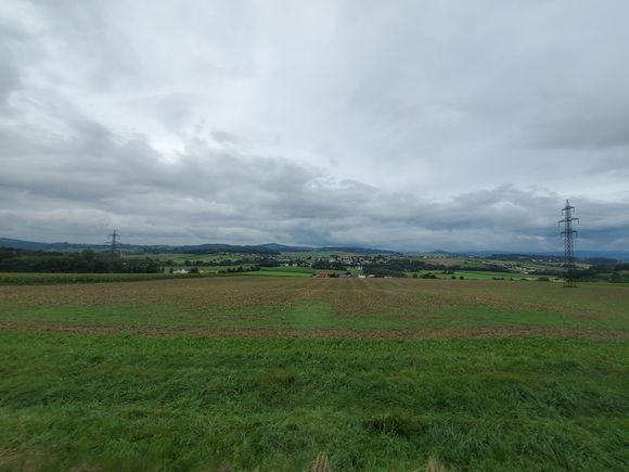 More greenery