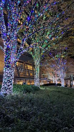The upper level of Roppongi Hills ( close to the  metal giant spider   and entry to the Tokyo city view- beautiful multicolour lights round the trees and you can walk on the paths between them