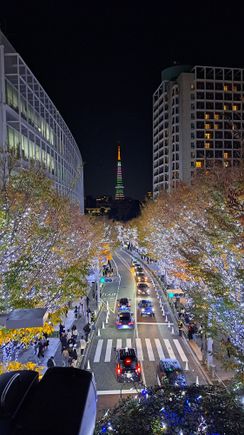 The  bridge at Roppongi Hills with  Keyakizaka Street below  with the trees all decorated with lights and facing towards Tokyo tower with special lighting ( busy even at 2130 with lots of people taking photos so had to wait a few minutes to get a good position towards the Tokyo tower