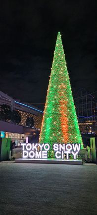 The christmas tree changed colours through purple,blue,red,green etc. Stays up through end of February iirc