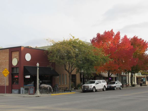 Fall Colours 28th September 2019