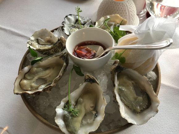 Boudeuse Oysters 