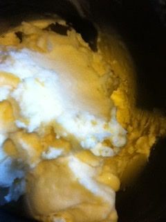 Pumpkin and miso ice cream 