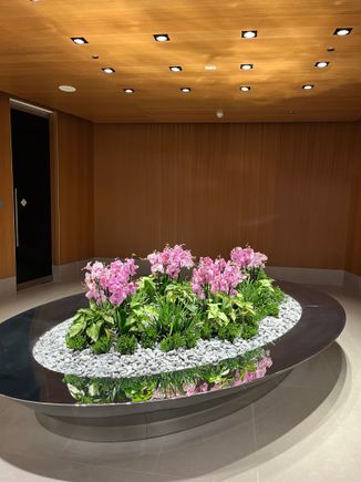 Nice piece in front of the female prayer room/shower area