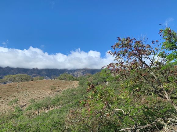 along the south shore

