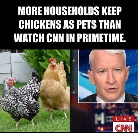  An interesting statistic about CNN... :)