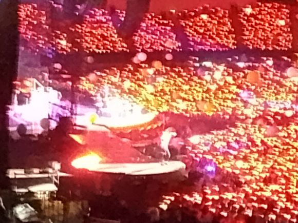 That unrecognizable speck standing up near the middle is Chris