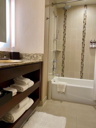 Bathroom in main bedroom