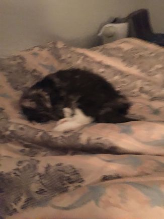 My baby is sleeping. My husband and I care about her. As long as she’s okay so will we.