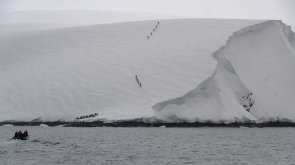 Bluff Island - Antarctica ski touring