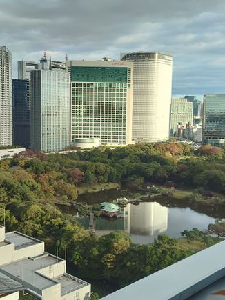 Balcony view 