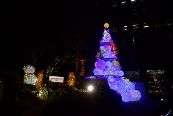 Outside Tokyo Peninsula Hotel Dec 2019