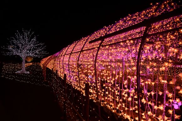 The sakura tunnel from the outside with changed colours to pink/orange