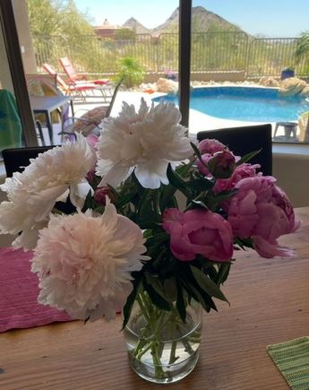 Never thought I’d see peonies in AZ - $10 a bunch at Trader Joe’s!