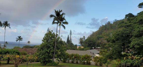 Studio King Partial Ocean View