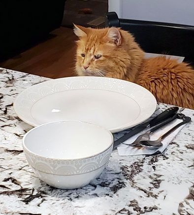 Yeah Hobbes, I see you.