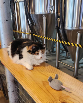 Squeak had a great time too.