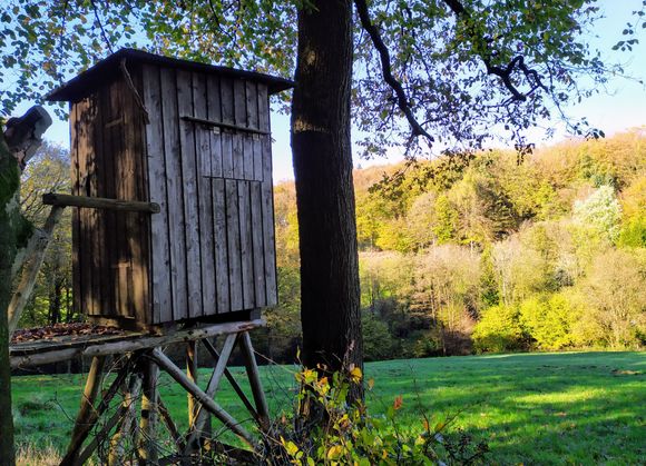 One of several bird observation huts on the Winterberg hike