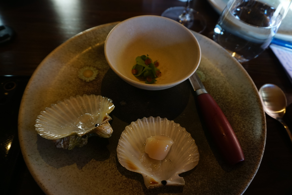 Fresh scallop