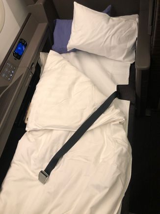 I'd woken up at 2 a.m. to drive from the Fuji area to the Toyosu Market for the Sushidai opening, partially so I'd be exhausted enough to sleep at this point: 2 p.m. local time. After a bit of tossing and turning, I was able to sleep for about 7 of the 12 hours overall. 