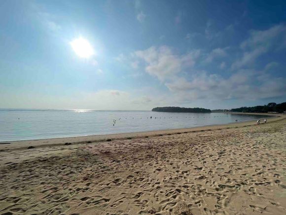 AM activity: catching high tide pre-breakfast