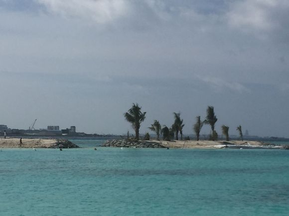 Here is a close up of the island to the right where trees have been planted.  Obviously, more needs to be done.