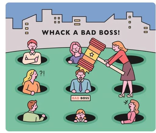 CNN new management board