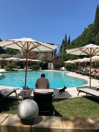 Regular swimming pool
