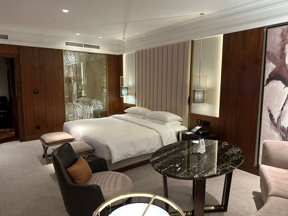 Another shot of the sleeping area. The door on the left leads into a closet, which in turn leads into the bathroom.
