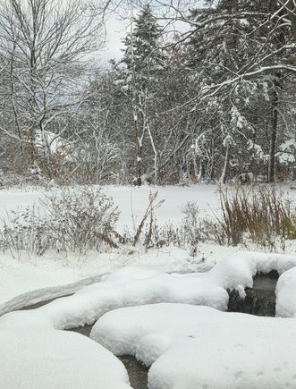 Sent from a friend in the northern Chicago suburbs this morning