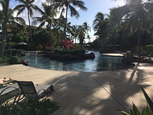 Lagoon Pool