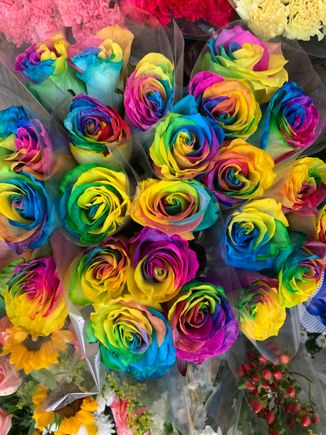 Artificially colored roses are huge in Asia, we were told. 