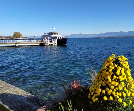 The landing jetty at Nyon in canton Vaud, while I wait to board the boat to Yvoire in France - this was the last time I would see a very dear friend, an icon of the English theater in Geneva, who lived in Douvaine