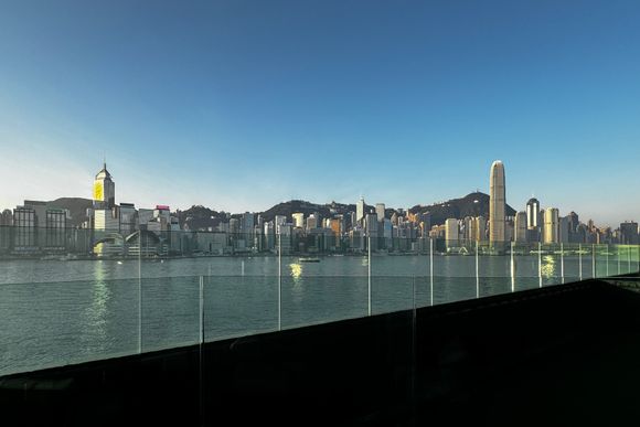 View from the terrace (Patio)