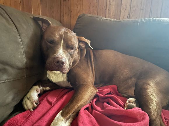 He was also not ready to start the day this morning.  