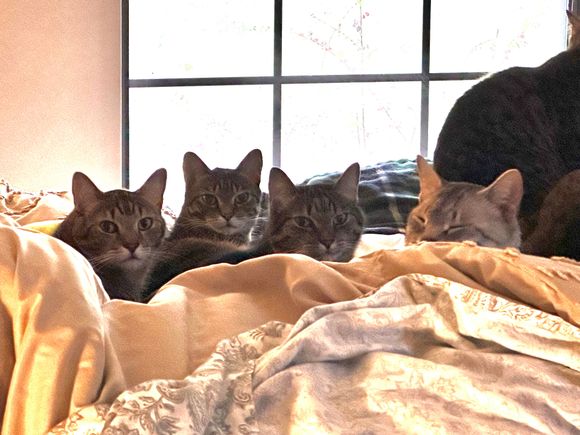 I interrupted something.