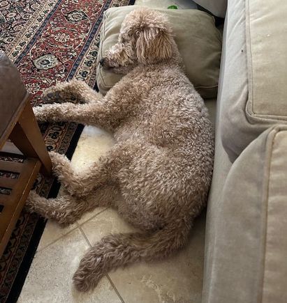Staying cool AND comfortable! 