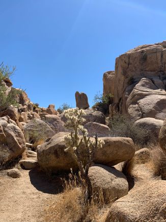 I then remembered that snakes exist and turned around