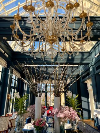 Winter garden